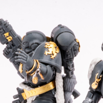 MiniWarPaint Warhammer Space Wolves великие роты